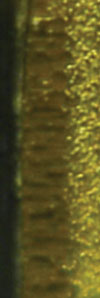 Figure 1a
